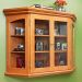 Woodsmith Elegant Curio Cabinet Standard Plan – 8.5” x 11” PDF Download