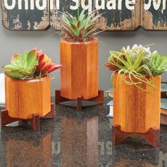 Woodsmith Succulent Plant Stands Standard Plan & Premium Shop Drawings 
